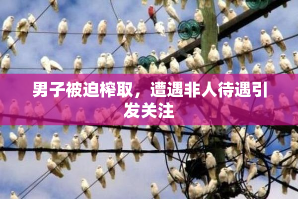 男子被迫榨取，遭遇非人待遇引发关注