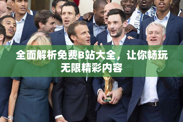 全面解析免费B站大全，让你畅玩无限精彩内容