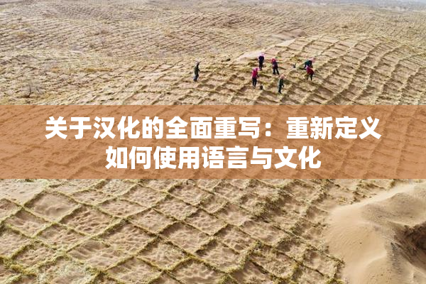 关于汉化的全面重写：重新定义如何使用语言与文化