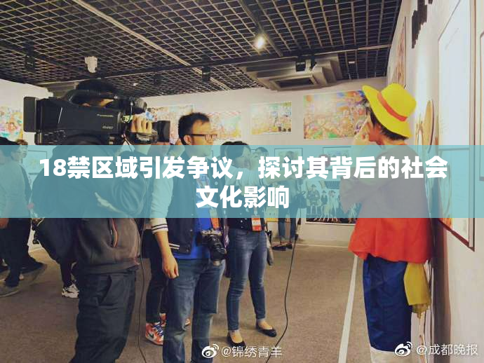18禁区域引发争议，探讨其背后的社会文化影响