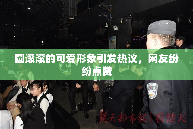 圆滚滚的可爱形象引发热议，网友纷纷点赞