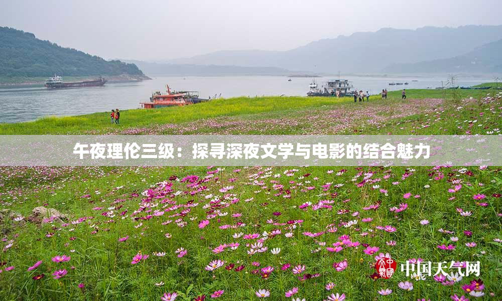 午夜理伦三级：探寻深夜文学与电影的结合魅力