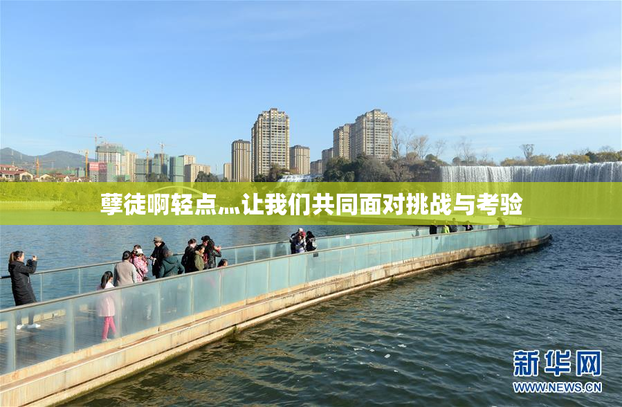 孽徒啊轻点灬让我们共同面对挑战与考验