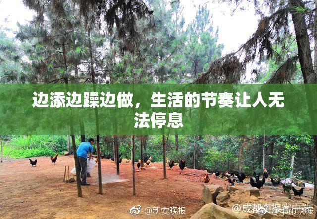 边添边躁边做，生活的节奏让人无法停息