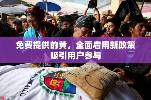 免费提供的黄，全面启用新政策吸引用户参与