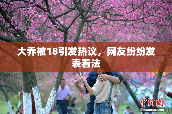 大乔被18引发热议，网友纷纷发表看法