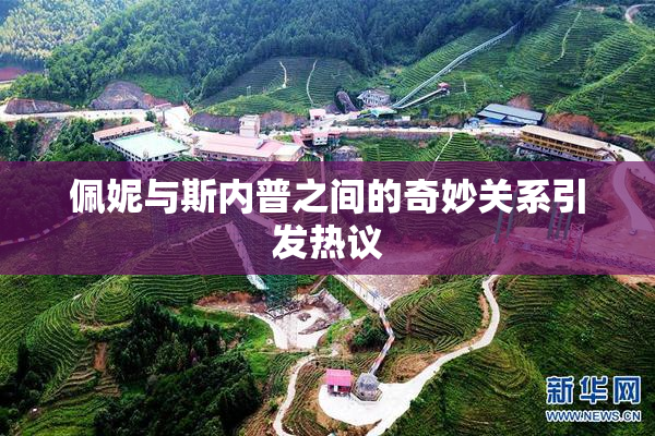佩妮与斯内普之间的奇妙关系引发热议