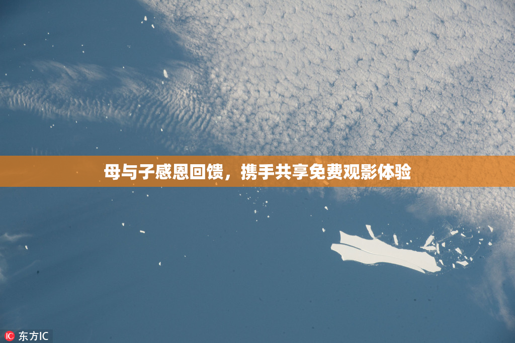母与子感恩回馈，携手共享免费观影体验