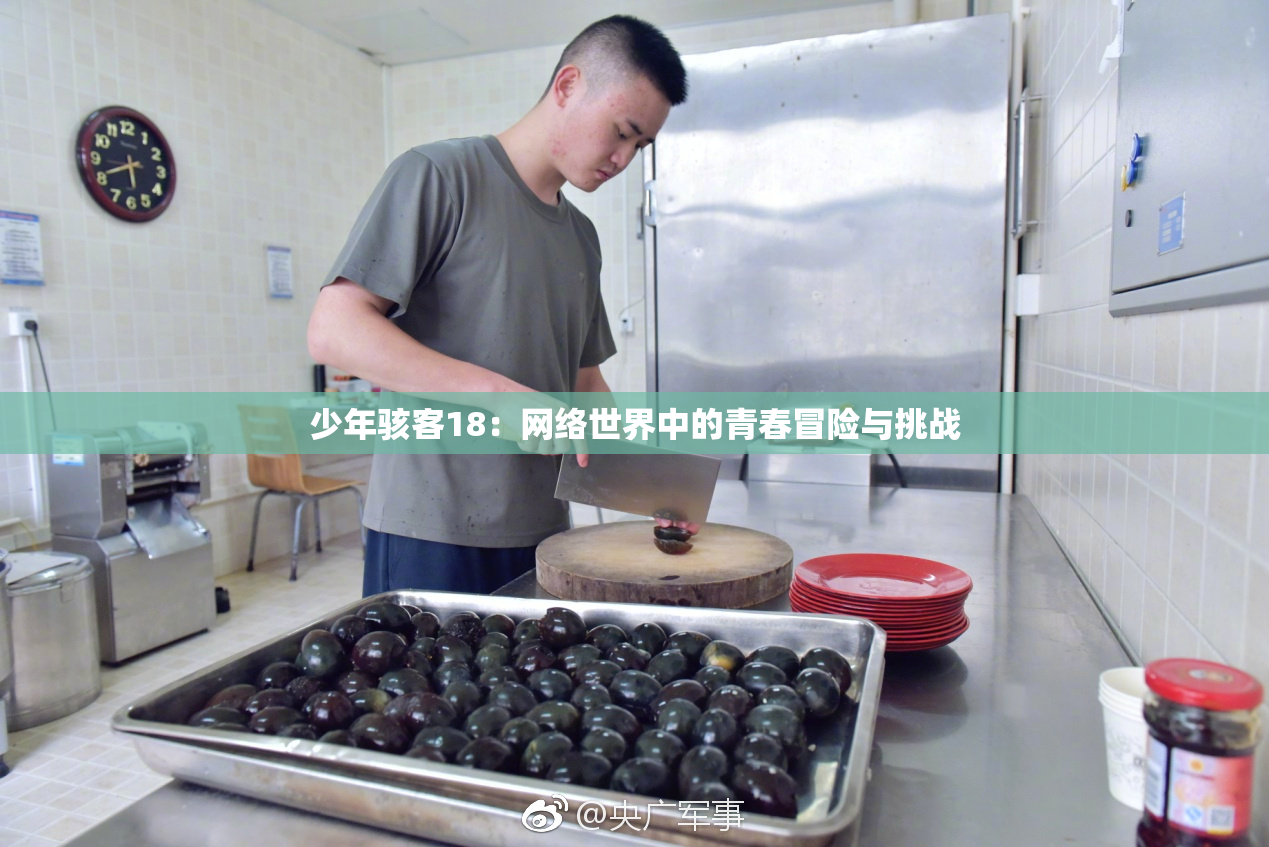 少年骇客18：网络世界中的青春冒险与挑战