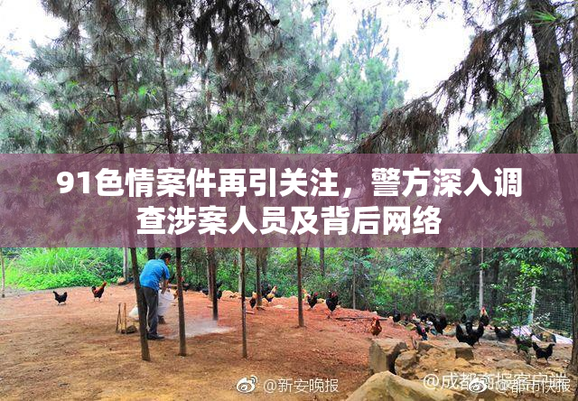 91色情案件再引关注，警方深入调查涉案人员及背后网络