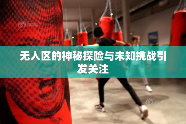 无人区的神秘探险与未知挑战引发关注