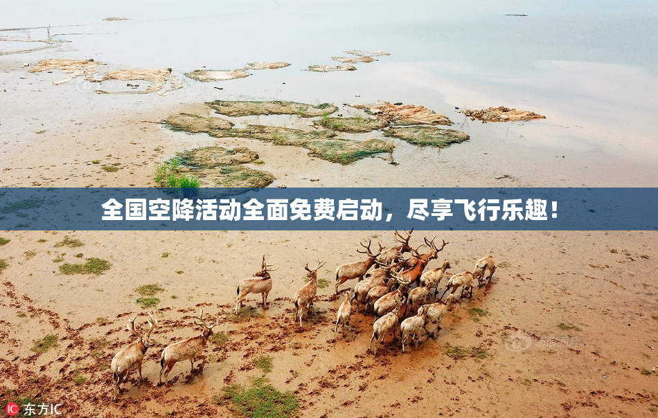 全国空降活动全面免费启动，尽享飞行乐趣！