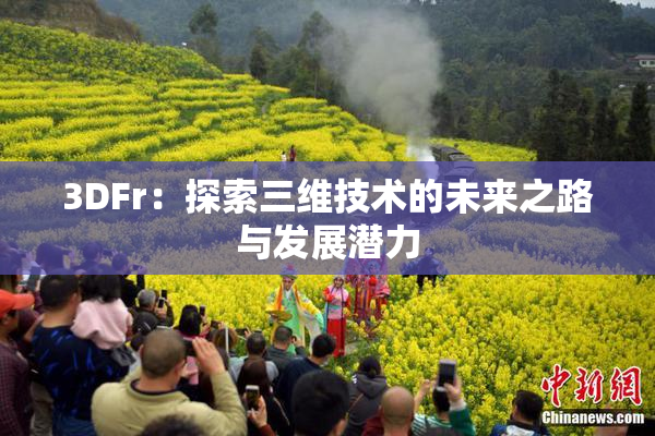 3DFr：探索三维技术的未来之路与发展潜力