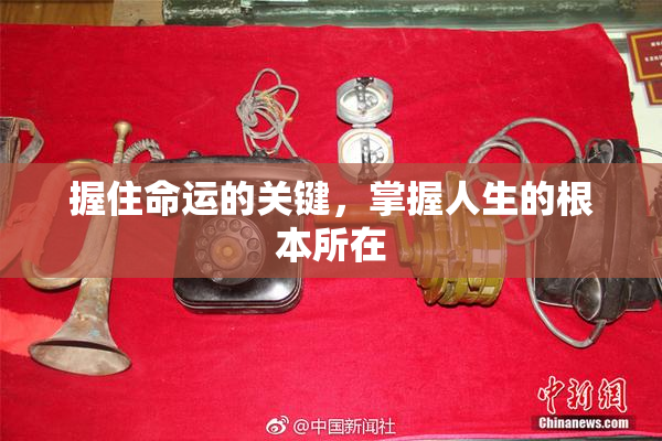 握住命运的关键，掌握人生的根本所在