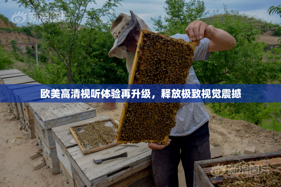 欧美高清视听体验再升级，释放极致视觉震撼