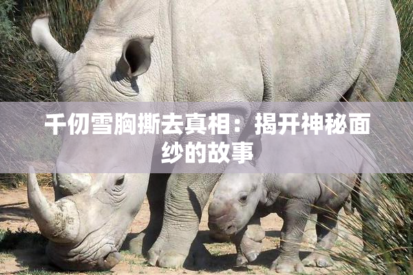 千仞雪胸撕去真相：揭开神秘面纱的故事