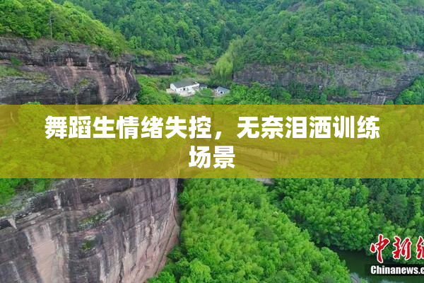 舞蹈生情绪失控，无奈泪洒训练场景