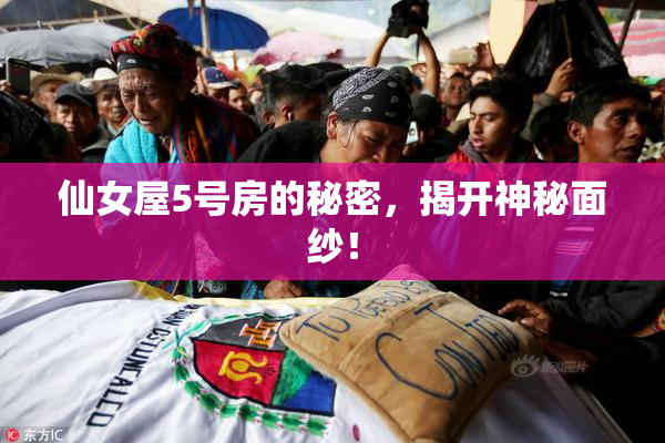 仙女屋5号房的秘密，揭开神秘面纱！