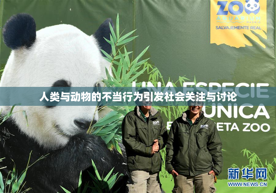 人类与动物的不当行为引发社会关注与讨论