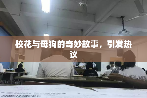 校花与母狗的奇妙故事，引发热议