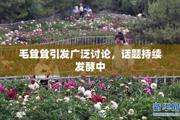 毛耸耸引发广泛讨论，话题持续发酵中