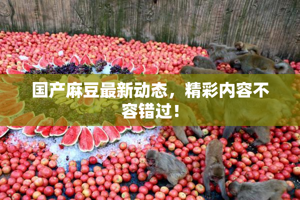 国产麻豆最新动态，精彩内容不容错过！