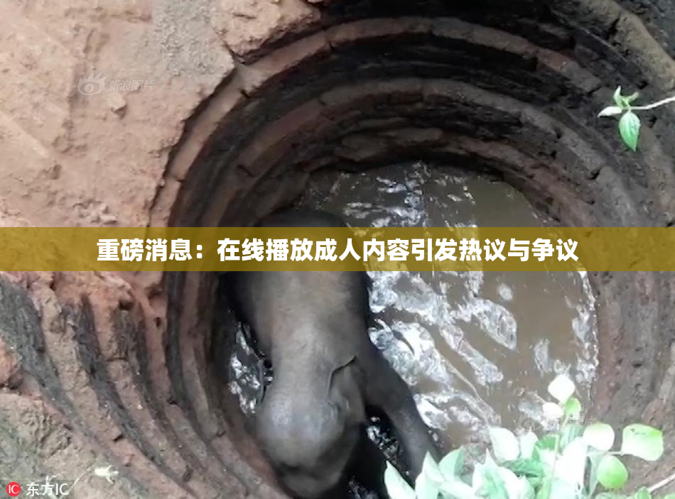 重磅消息：在线播放成人内容引发热议与争议
