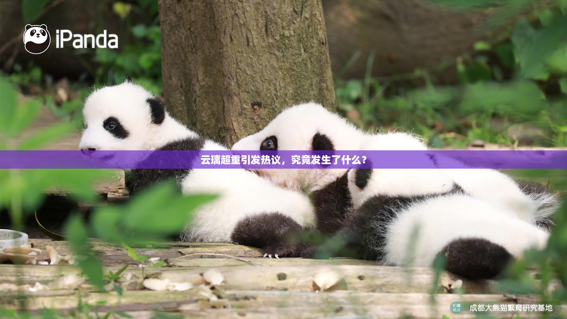 云璃超重引发热议，究竟发生了什么？
