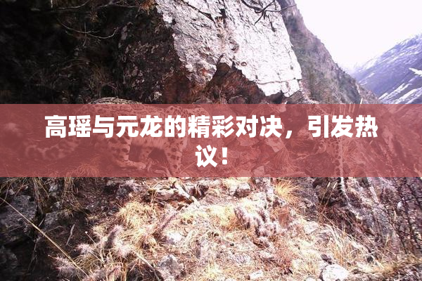 高瑶与元龙的精彩对决，引发热议！