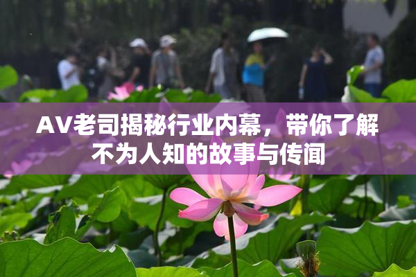 AV老司揭秘行业内幕，带你了解不为人知的故事与传闻