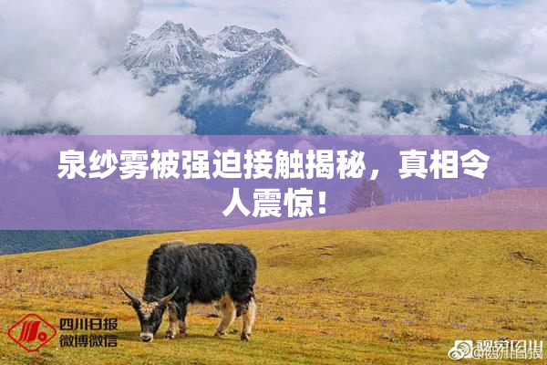 泉纱雾被强迫接触揭秘，真相令人震惊！