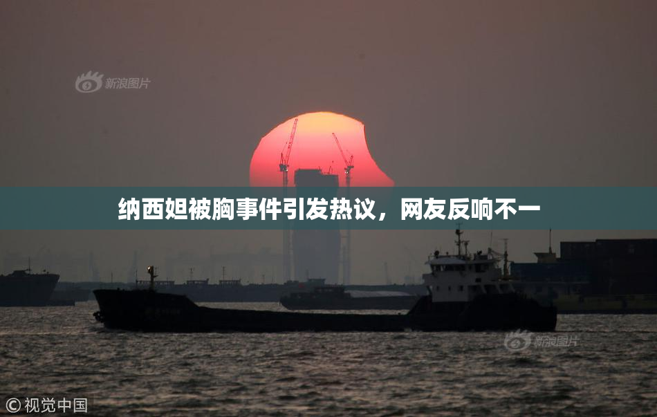 纳西妲被胸事件引发热议，网友反响不一
