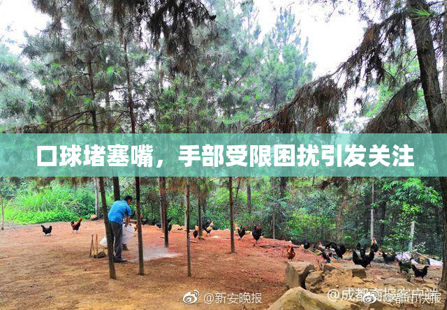口球堵塞嘴，手部受限困扰引发关注