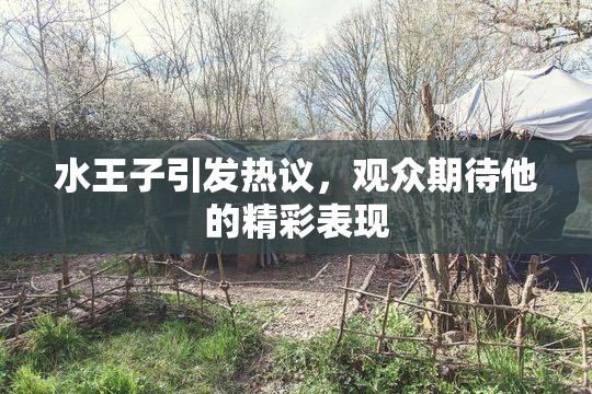 水王子引发热议，观众期待他的精彩表现
