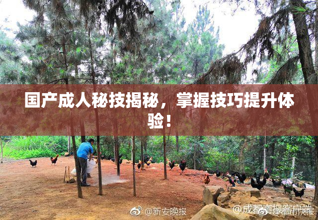 国产成人秘技揭秘，掌握技巧提升体验！