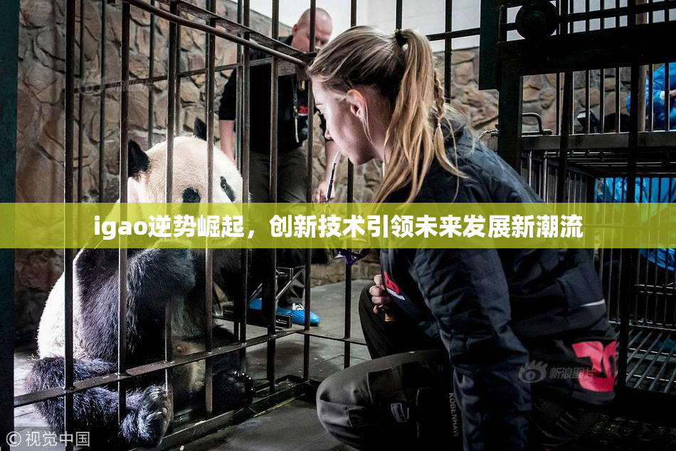 igao逆势崛起，创新技术引领未来发展新潮流