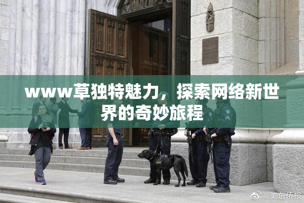 www草独特魅力，探索网络新世界的奇妙旅程