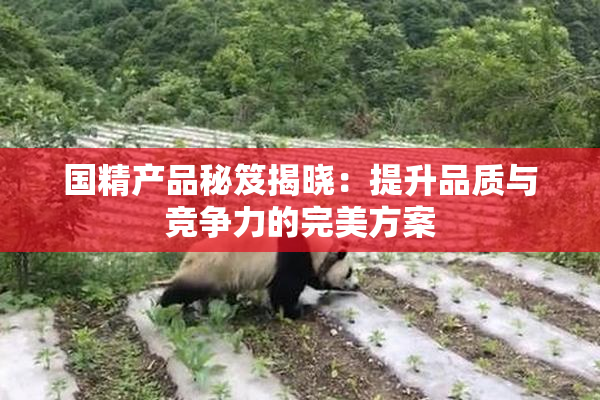 国精产品秘笈揭晓：提升品质与竞争力的完美方案