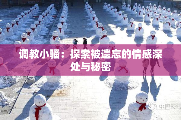 调教小骚：探索被遗忘的情感深处与秘密