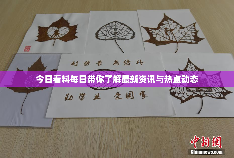今日看料每日带你了解最新资讯与热点动态