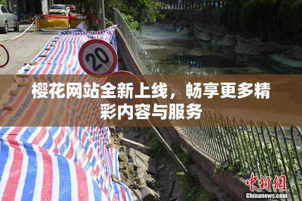 樱花网站全新上线，畅享更多精彩内容与服务