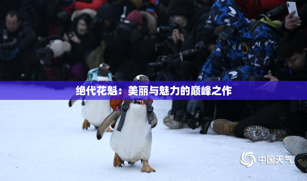 绝代花魁：美丽与魅力的巅峰之作