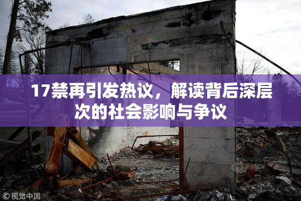 17禁再引发热议，解读背后深层次的社会影响与争议