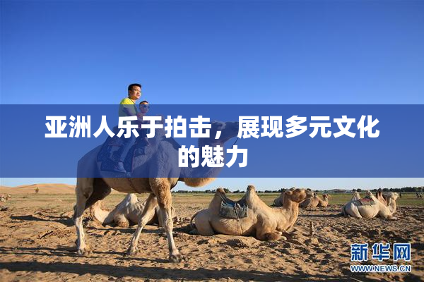亚洲人乐于拍击，展现多元文化的魅力