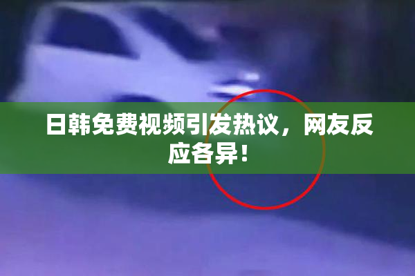 日韩免费视频引发热议，网友反应各异！