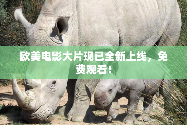 欧美电影大片现已全新上线，免费观看！