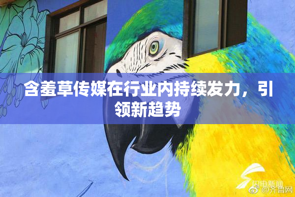 含羞草传媒在行业内持续发力，引领新趋势