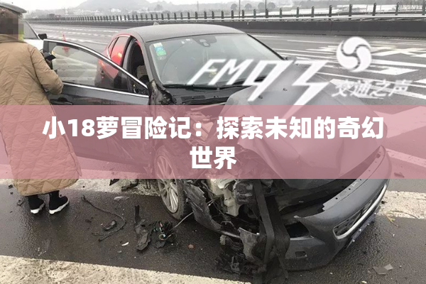 小18萝冒险记：探索未知的奇幻世界