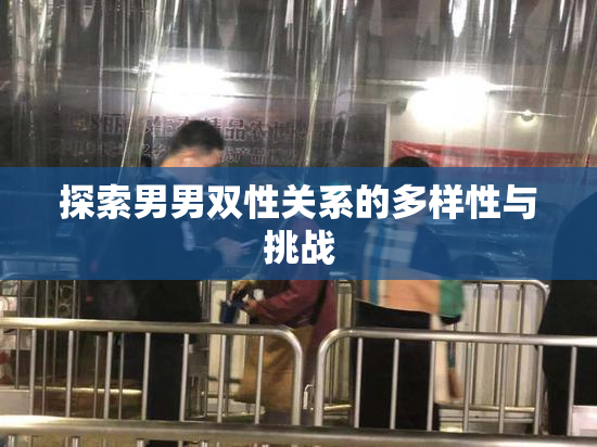 探索男男双性关系的多样性与挑战