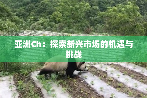亚洲Ch：探索新兴市场的机遇与挑战